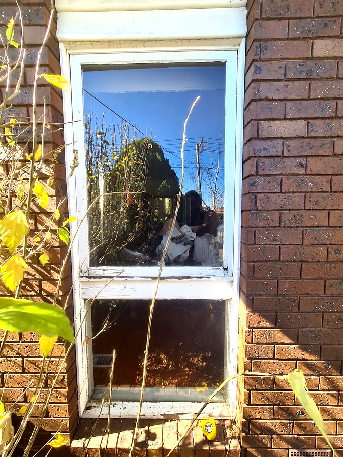 What Happens If You Ignore Timber Rot