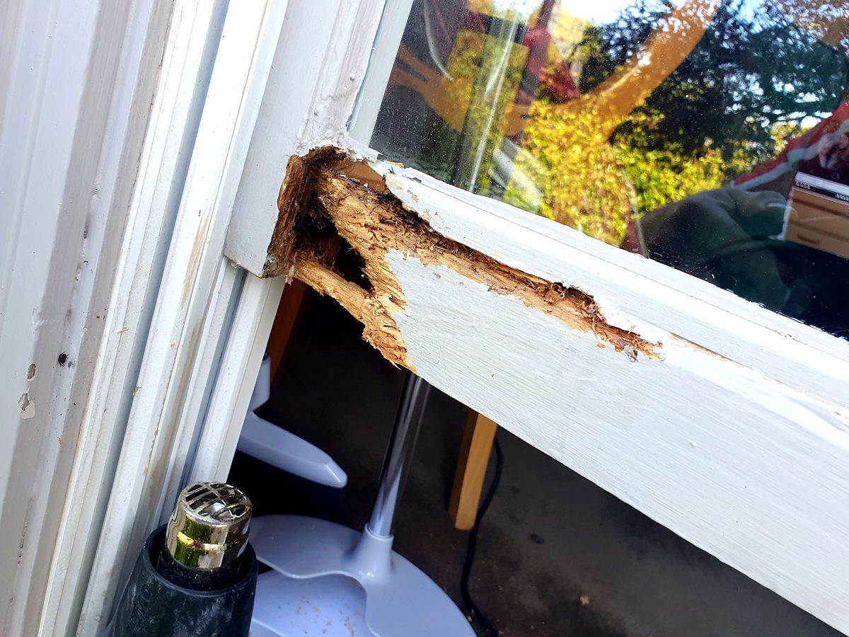 Close-up rot damage on window frame